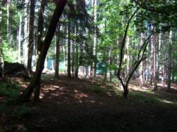 2009 Summer Camp 046.JPG